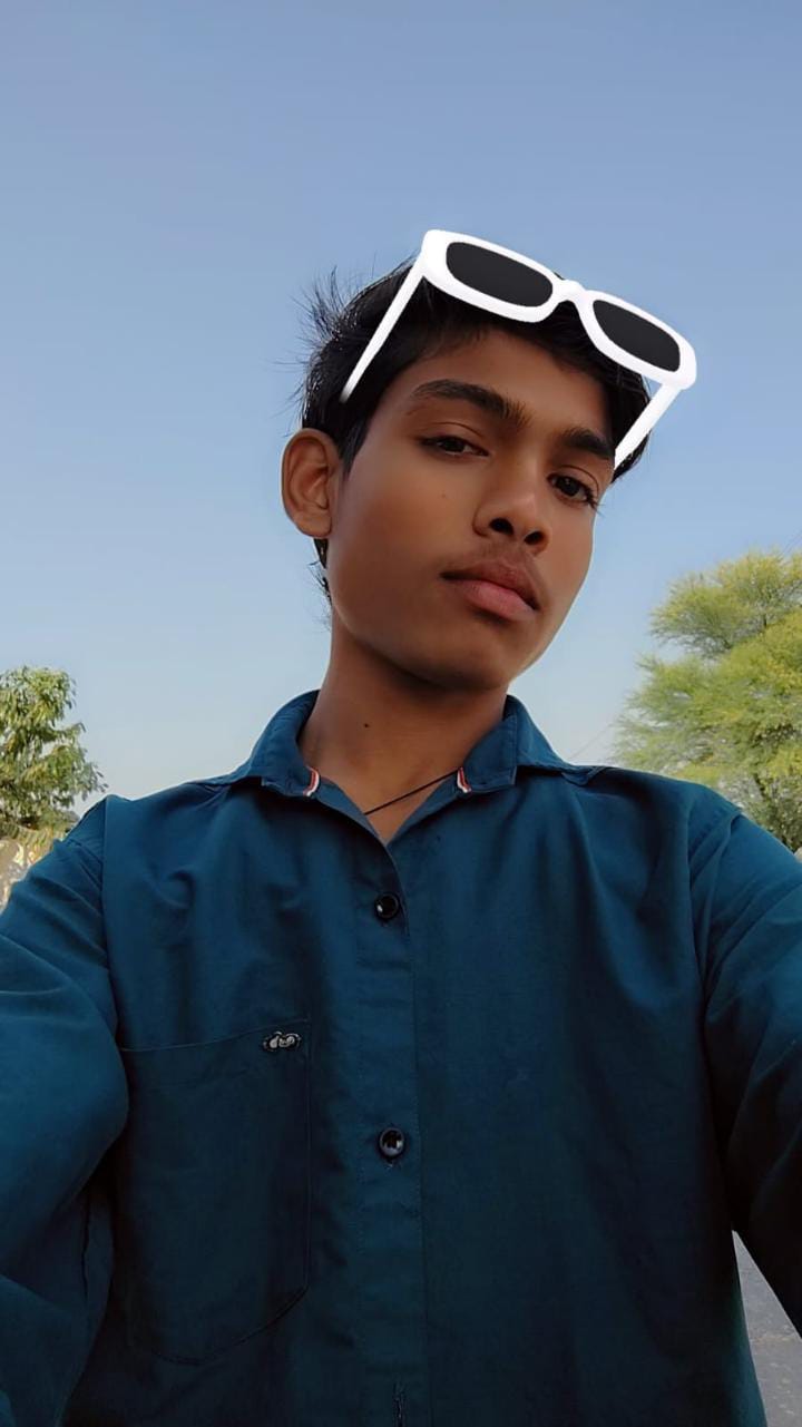 Himanshu Pratap Singh - Web Developer in Firozabad